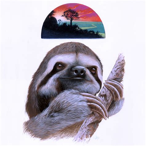 american eagle sloth
